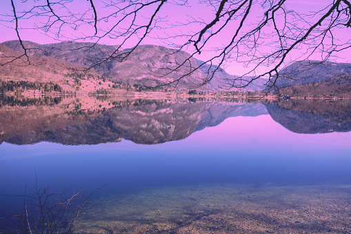 Mountain lake with reflection. Nature landscape. Lake Bohinj, Slovenia, Europe