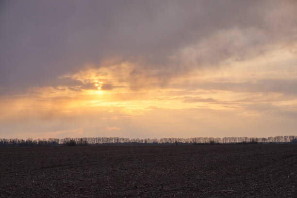 Sunset over a plowed agricultural field. Dramatic sky in the evening.