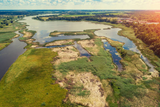 istock Top view of the river floodplain on a sunny summer day 1977783411