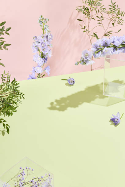 istock Spring-inspired minimalist backdrop with geometric shapes and natural flowers 1977792572