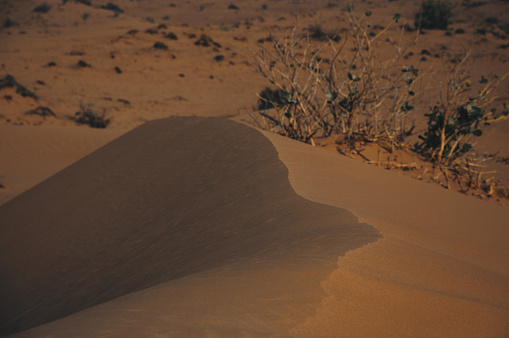 Abu Dhabi Desert Stockfoto stock photo...