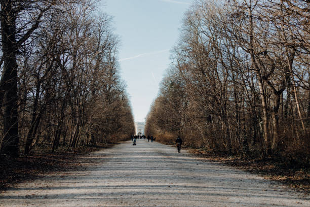 Vienna, Austria – December 09, 2023: A dirt road lined with trees stretches in two directions