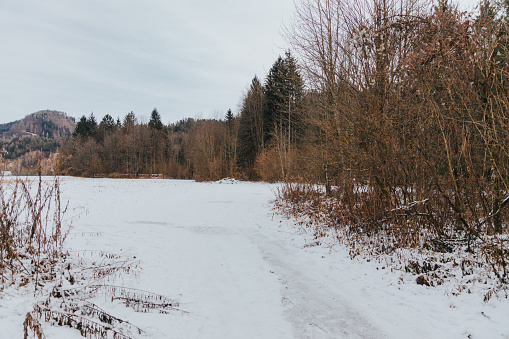 An empty field with a snowy path winding through grass and trees