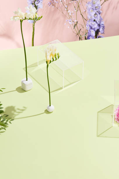 istock Spring-inspired minimalist backdrop with geometric shapes and natural flowers 1977846024