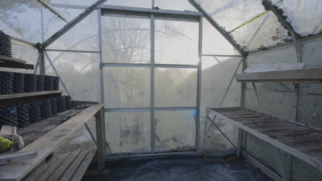 Restoring an Old Overgrown  Green House
