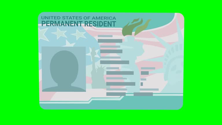 Green card, US permanent resident card (flat design)