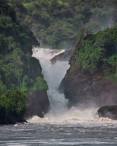 istock Close-up of Murchison Falls Uganda 1977952766