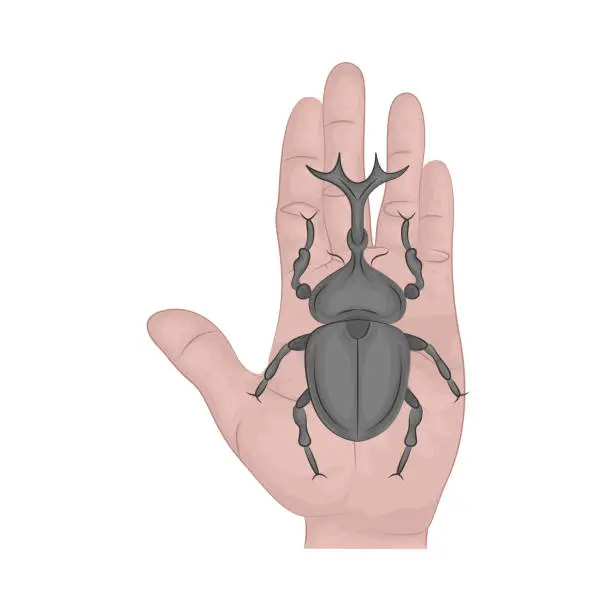 Vector illustration of rhinoceros beetle