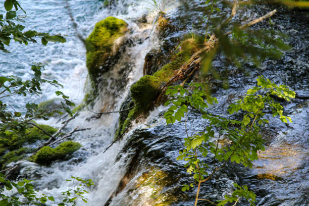 Waterfalls In The Park. Crystal Clear Water Of Lake. Waterfall Cascade. Beautiful Nature. Plitvice Lakes National Park.