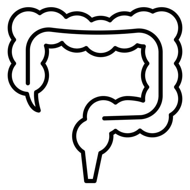 large intestine icon - 18813 stock-grafiken, -clipart, -cartoons und -symbole