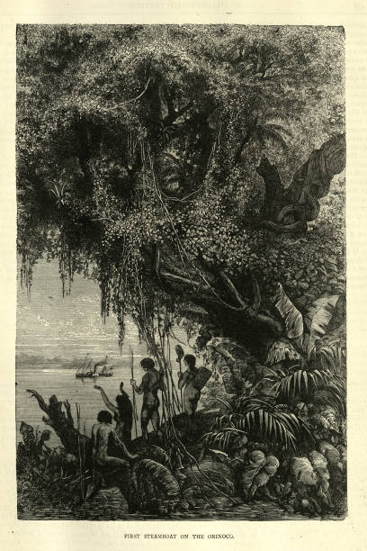 Natives watching the first steamboat on the Orinoco river, Victorian 19th Century Vintage illustration Natives watching the first steamboat on the Orinoco river, Victorian 19th Century delta amacuro stock illustrations