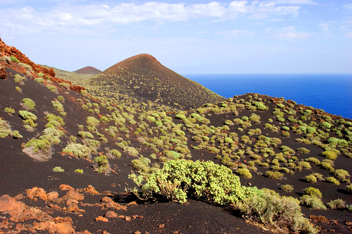 The foothills of the Teneguia volcano at the southern tip of the island, La Palma, Canary Islands, Spain, Europe