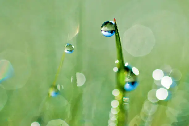 small dewdrops on a blade of grass