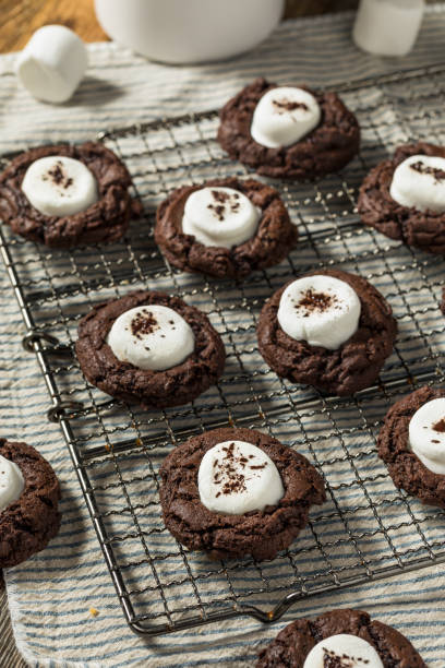 istock Homemade Dark Chocolate Hot Cocoa Cookies 1978221172