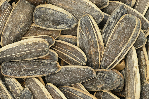 Close-up picture of sunflower seeds