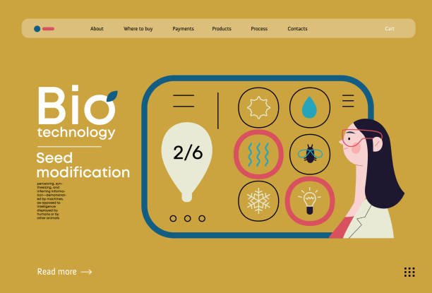 Bio Technology flat vector illustration Bio Technology, Seed Modification -modern flat vector concept illustration of scientists choosing features for a seed, genetic modificated variants. Metaphor of direct impact of GMO on vegetation genetic modification change improvement science stock illustrations