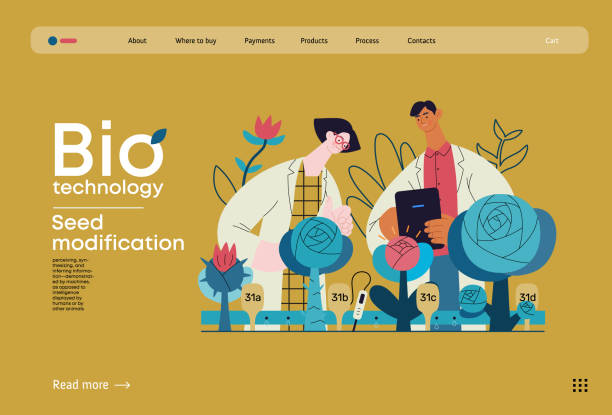 Bio Technology flat vector illustration Bio Technology, Seed Modification -modern flat vector concept illustration of scientists analysing genetic modificated variants of a plant. Metaphor of direct impact of GMO on vegetation genetic modification change improvement science stock illustrations
