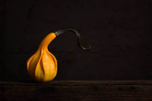 Autumn Decoration with Pumpkins and Leafs on Rustic Background