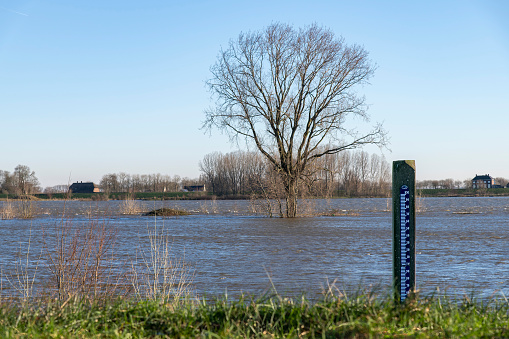 Water flooding the floodplains along a river in the Netherlands during winter with trees submerged in water and water depth gauge in front indicating high water level with out of focus grass area