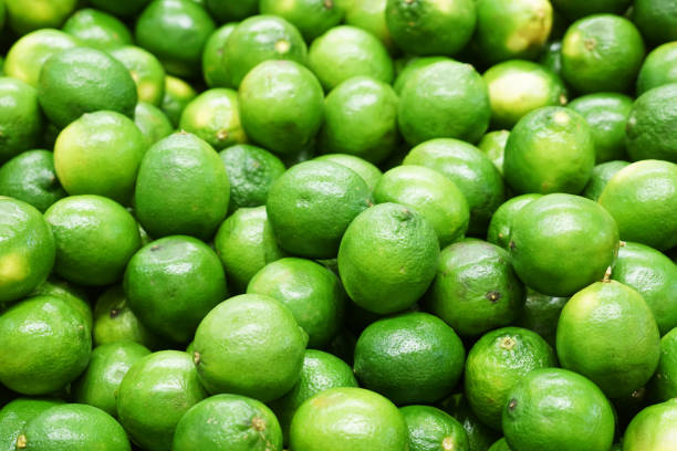 Fresh green lime pile in harvest season