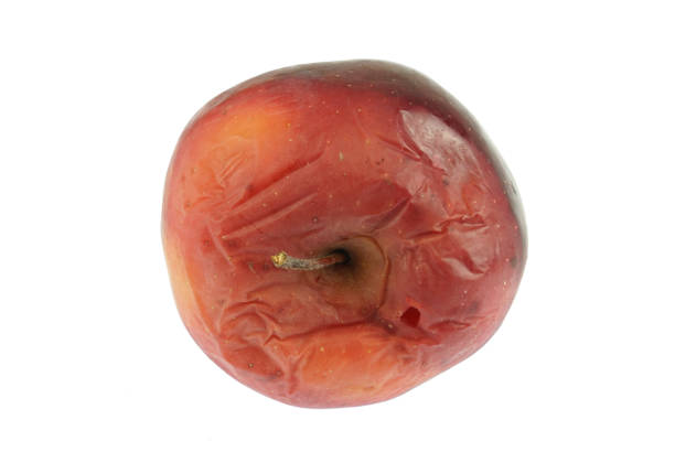 dry and rotten apple isolated on white background