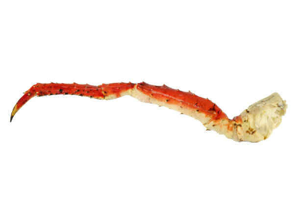istock close up on snow crab leg isolated on white background 1978285337