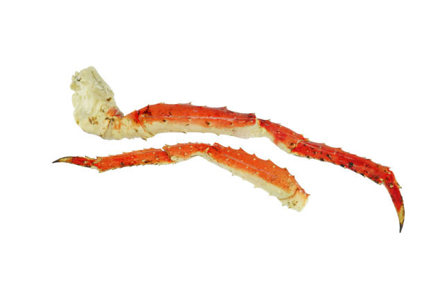 istock close up on snow crab leg isolated on white background 1978286434