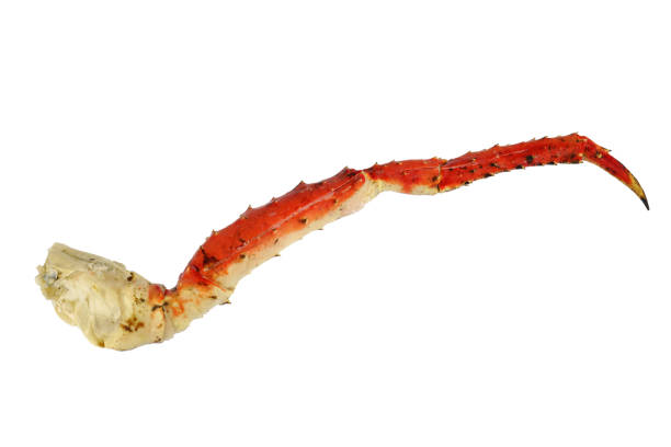 istock close up on snow crab leg isolated on white background 1978286436