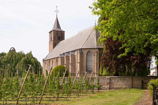 Reformed church from the 12th century in the Dutch village of Echteld province of Gelderland.