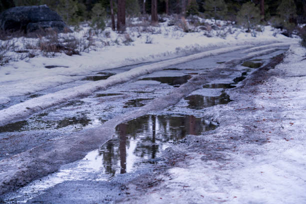 Wet mountain road from rain and melting snow in forest, just before sunset.  Unplowed.