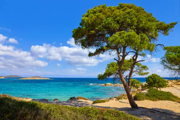 Photo of Karidi Beach, peninsula Sithonia, Chalkidiki, Greece