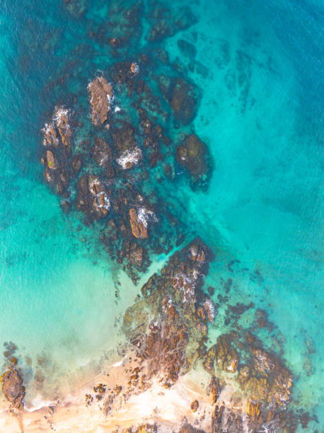 Rocky beachscape captured from drone. Aerial view of beautiful shallow waters in Whananaki, Bay of Island, Northland, New Zealand. bay of islands new zealand stock pictures, royalty-free photos & images