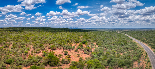 aerial view of typical african landscape, bushveld with acacia trees and mountains range, curved road