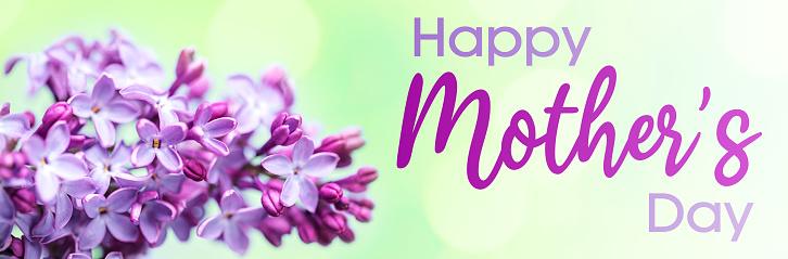 Happy Mother's Day lettering with beautiful Lilac blossom on a green background with defocused lights bokeh. Shallow depth of field.