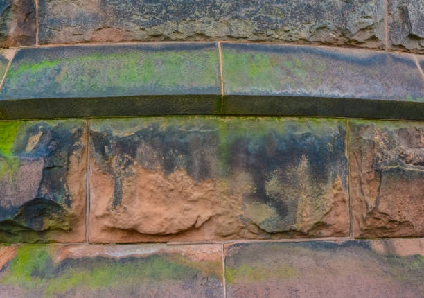 Elemental architectural design of the masonry, on which unicellular green algae grow on the walls at Princeton University.