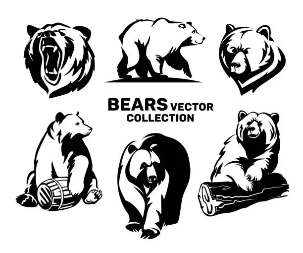 Vector illustration of Bears vector collection