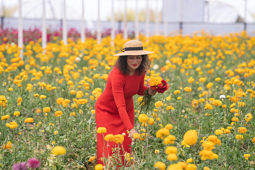 Photo of woman wearing a red dress and straw hat picking ranunculus flowers in flower field. Shot under daylight with a full frame mirrorless camera.