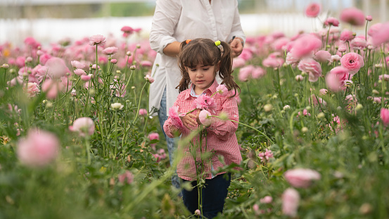 Photo of mother and 4,5 years old daughter in ranunculus flower garden. Little girl is wearing a floral crown. Shot under daylight.