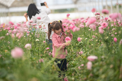 Photo of mother and 4,5 years old daughter in ranunculus flower garden. Little girl is wearing a floral crown. Shot under daylight.