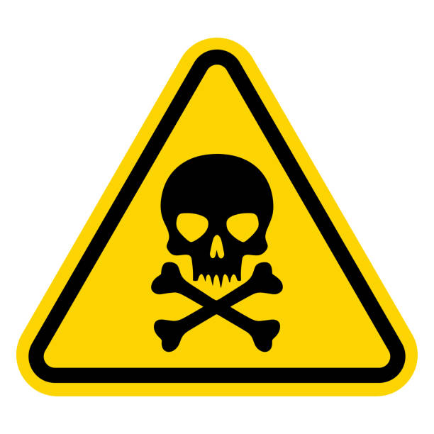 illustrations, cliparts, dessins animés et icônes de signe de poison de danger triangulaire jaune avec la marque de crâne et d’os croisés. icône d’avertissement toxique, électrique ou chimique. triangle symbole de la mort - matière nocive