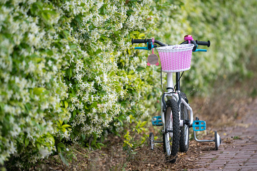 Photo of children bike with pink colored basket standing by flower covered wall. Shot under daylight with a full frame mirrorless camera.