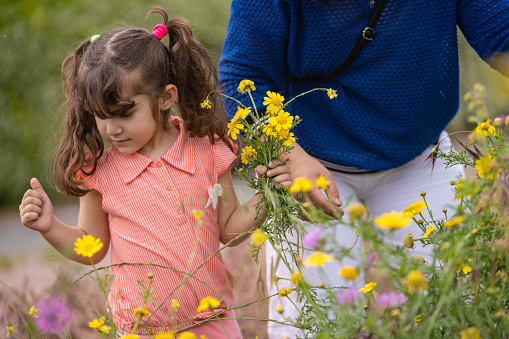 Photo of mother and 4,5 years old daughter in daisy flower garden. Little girl is wearing a floral crown. Shot under daylight.