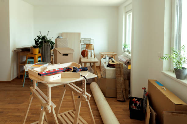 Relocation site: cardboard boxes, furniture, plants in a new house.