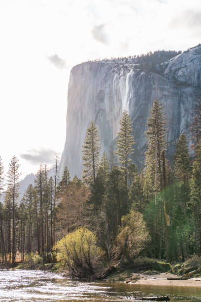 istock Yosemite national park in california 1978629852
