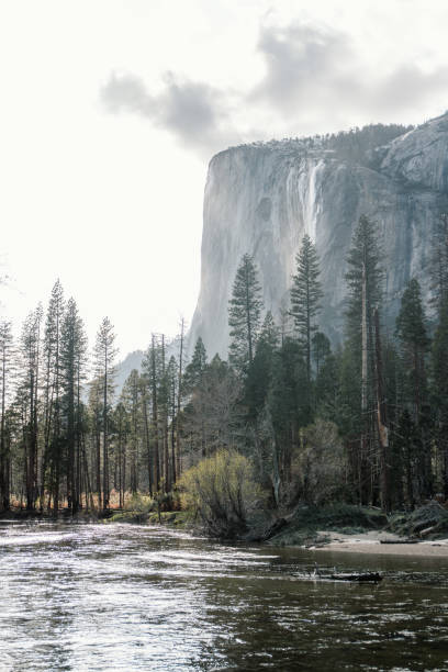 istock Yosemite national park in california 1978630360