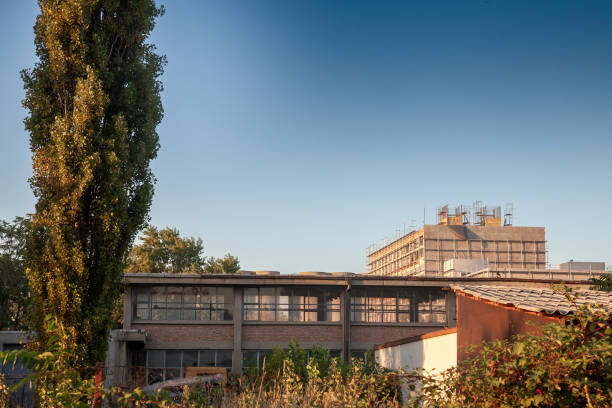 Picture of abandoned factories overgrown by trees and vegetation in an urban environment of Belgrade, serbia.