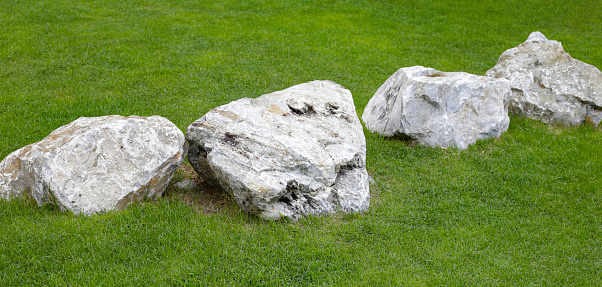 Stone on grass in the park
