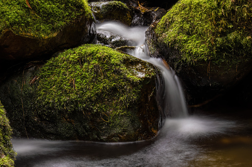 Long-exposure photograph of the stream and mossy rocks of a creek in the hillside of the Iguaque mountain, in the eastern central Andes of Colombia.
