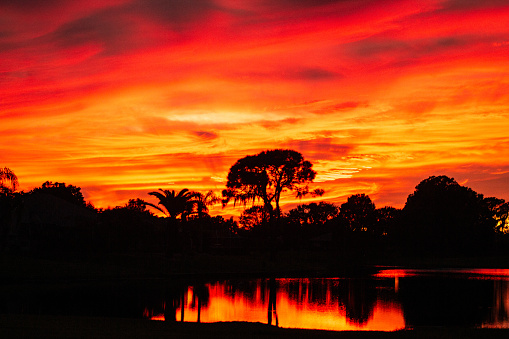 A silhouette of the treeline surrounding a lake in Florida. The vibrant sky is a mixture of yellow and red.  There is a reflection in the calm water at the bottom. Copy space.