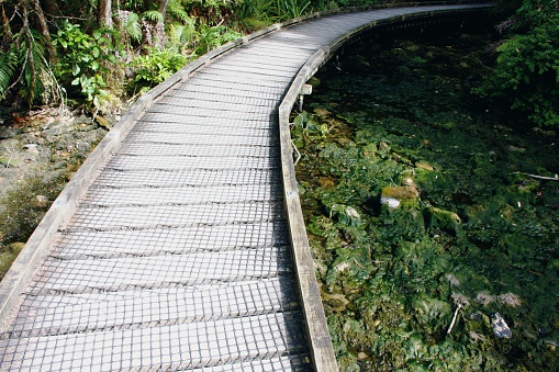 A footbridge alongside Rhizoclonium (Cladophoraceae) algal growth in a dried up stream.